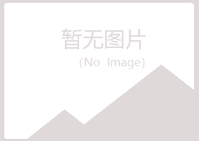 合阳县夏岚工程有限公司